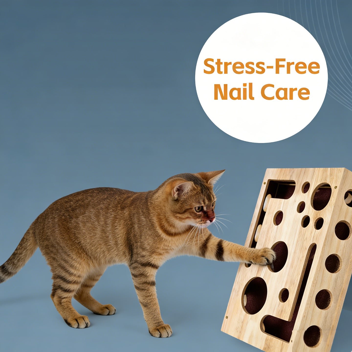 2026 - New Cat Nail File Scratch Experience Box - A Stress-Relieving Alternative Without Scissors or Grinding Wheels - Includes Sandpaper - Suitable for Indoor Cats - Toy - Puzzle Design