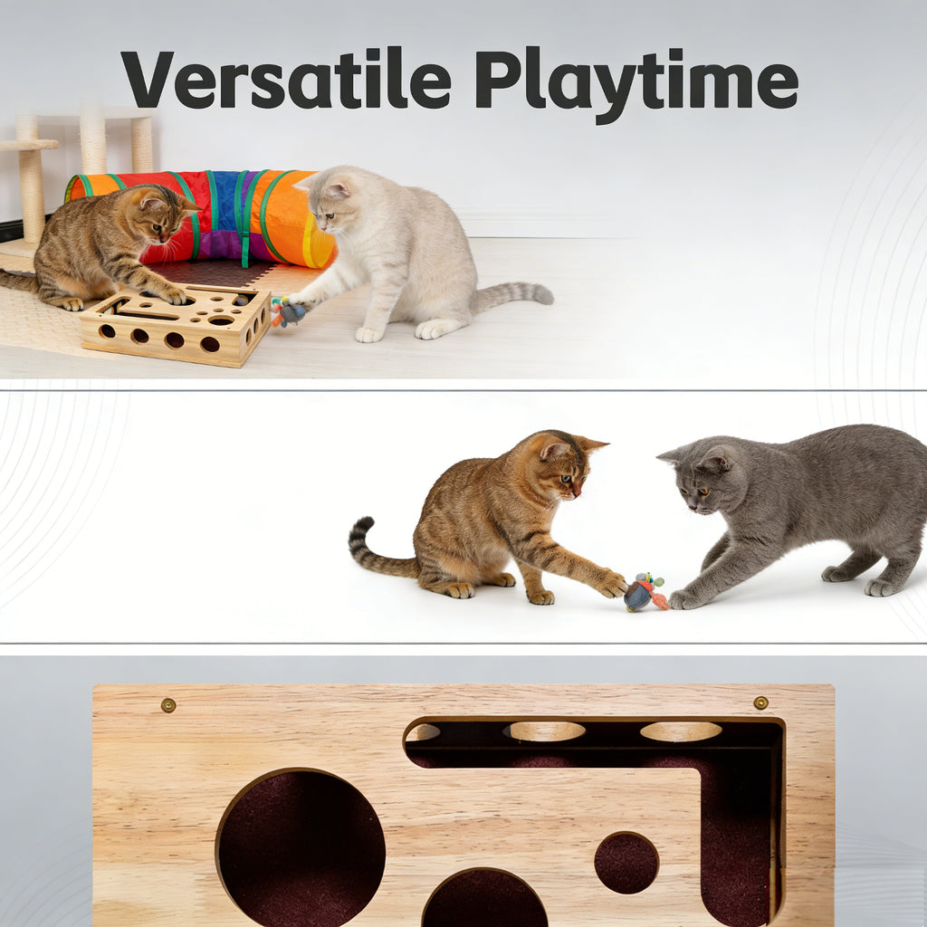 2026 - New Cat Nail File Scratch Experience Box - A Stress-Relieving Alternative Without Scissors or Grinding Wheels - Includes Sandpaper - Suitable for Indoor Cats - Toy - Puzzle Design